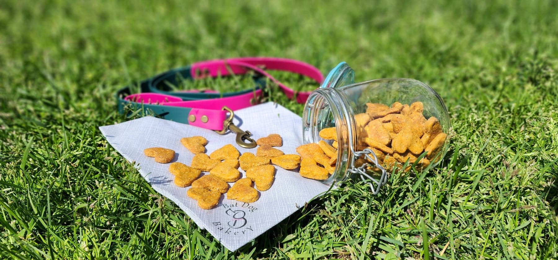 Fresh-baked BatDog treats beside handmade waterproof leads
