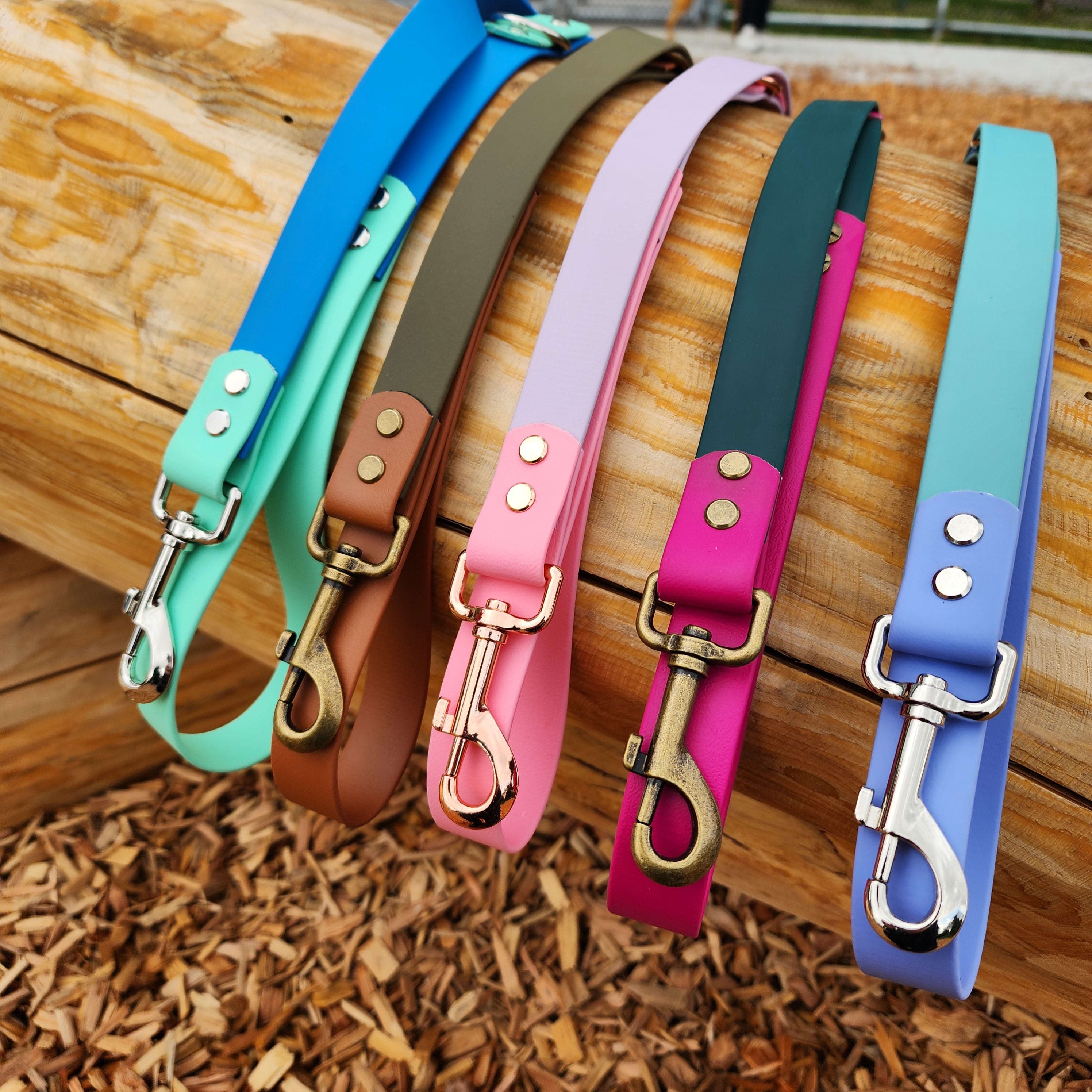 Leads & Collars